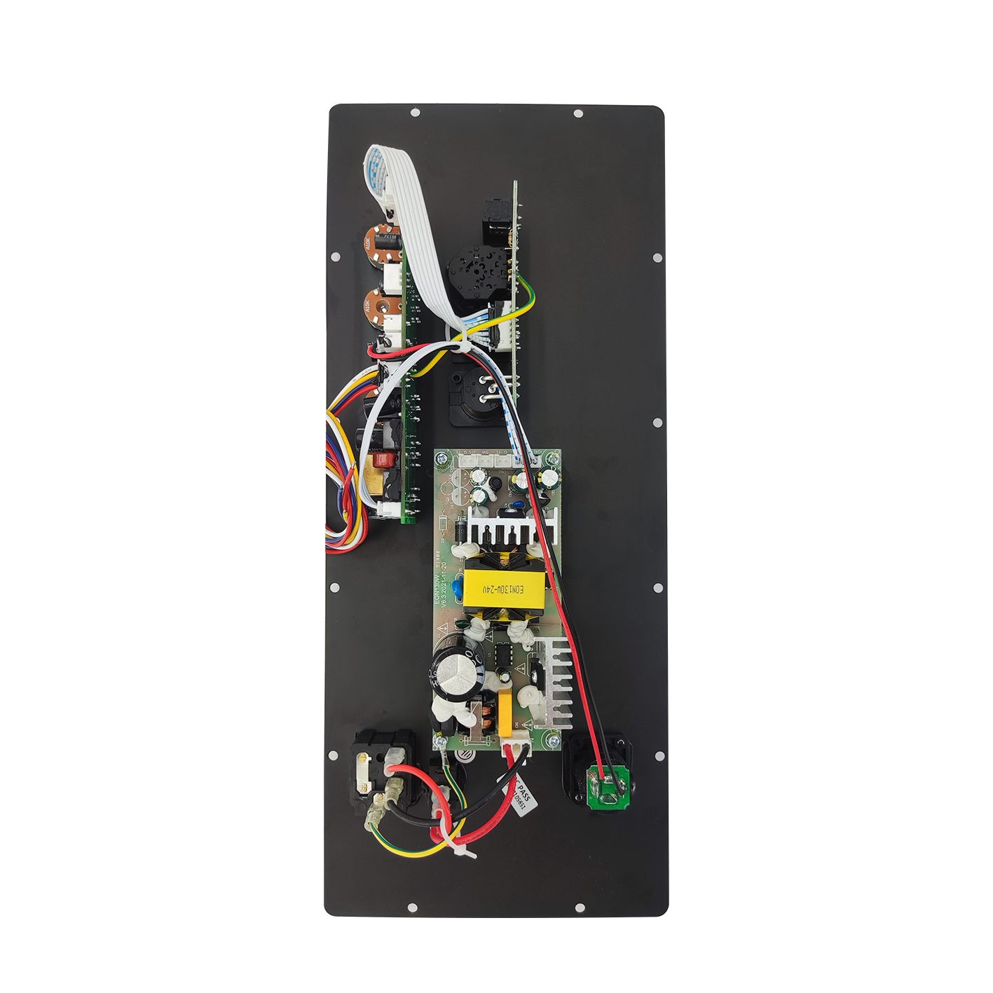Amplificateur de haut-parleur compact de classe D PL54